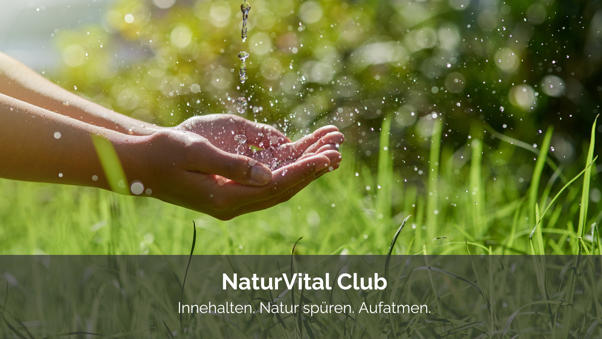 NaturVital Club - Innehalten. Natur spüren. Aufatmen. NaturVital Club - Innehalten. Natur spüren. Aufatmen.