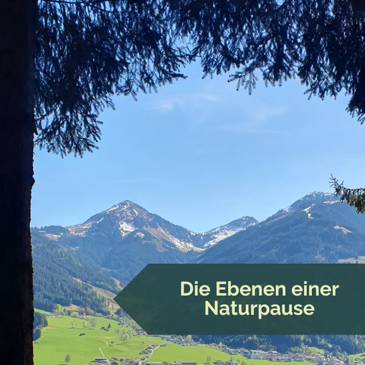 Die Ebenen einer Naturpause Die Ebenen einer Naturpause