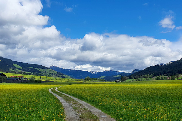 Richtung Kirchberg in Tirol